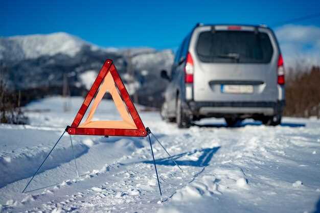 Как выбрать зимние шины для Peugeot?