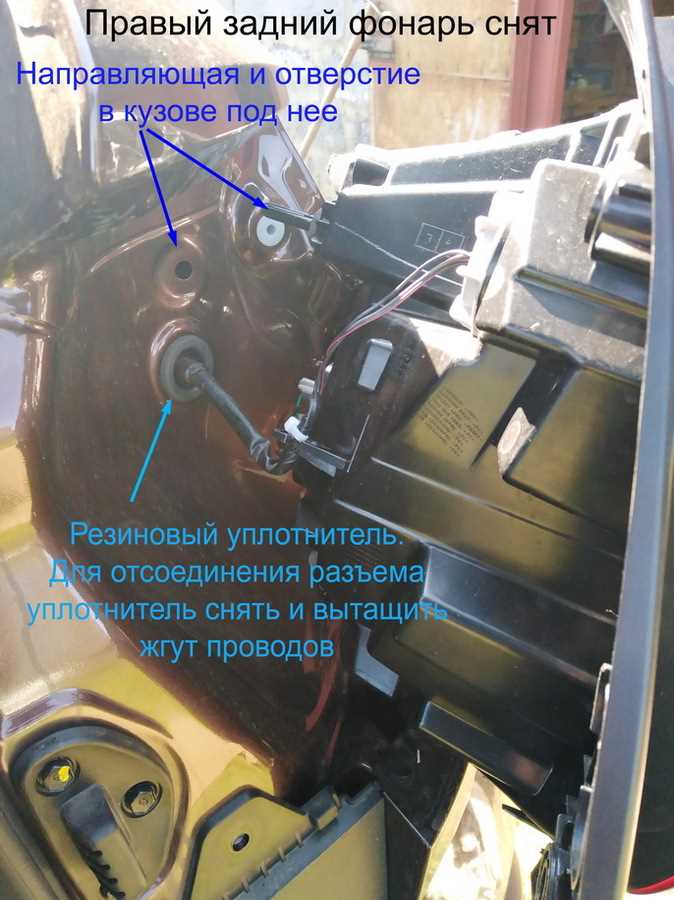 Выявление