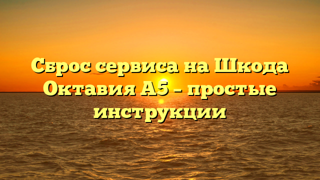 Сброс сервиса на Шкода Октавия А5 – простые инструкции